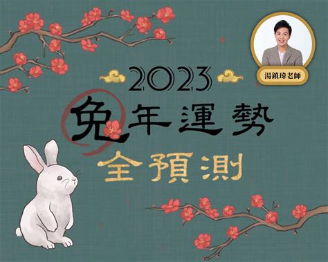 兔年財運|2024生肖兔整年運勢一次看！多注意健康、主動做一。